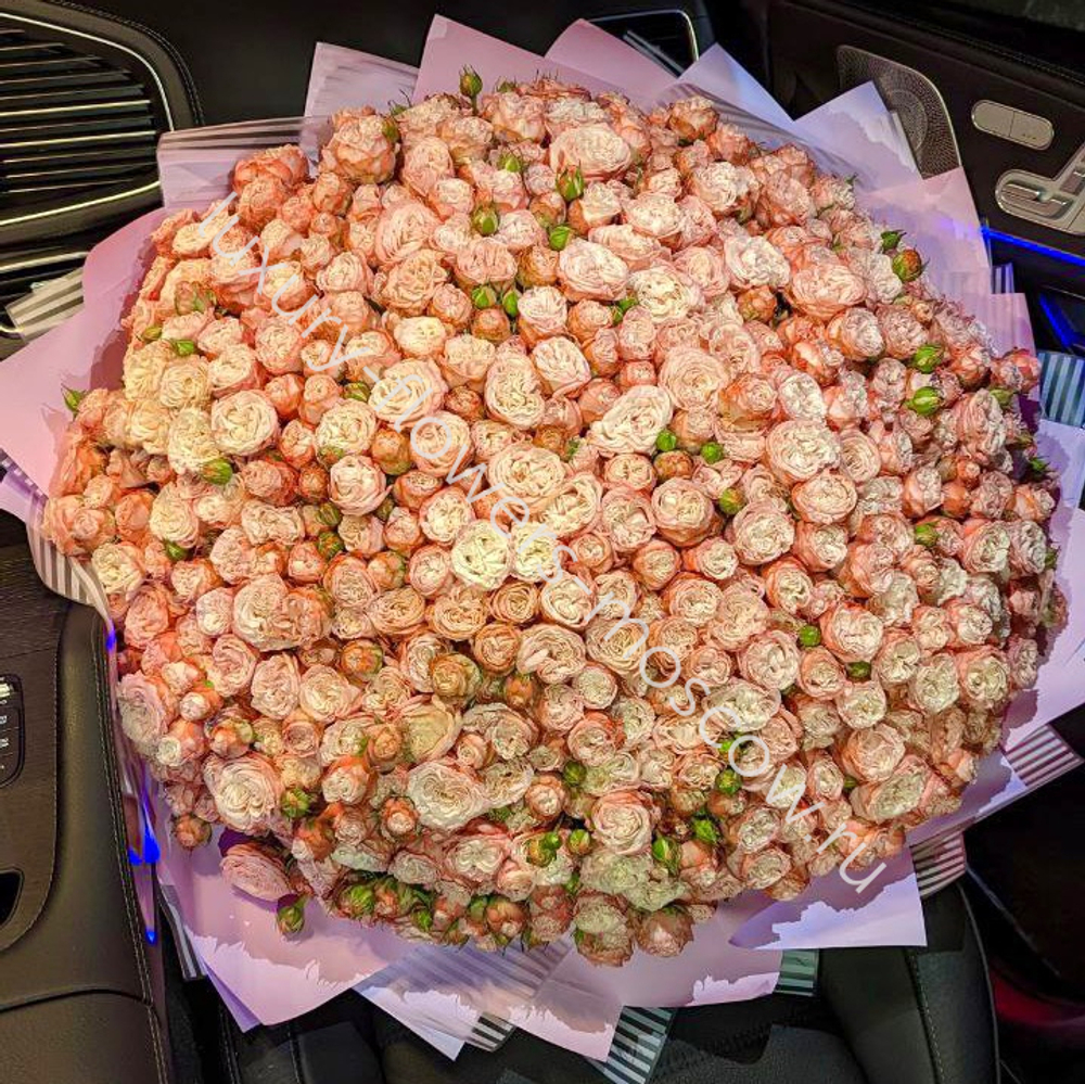201 пионовидная кустовая