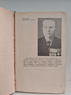 Записки партизанского комиссара