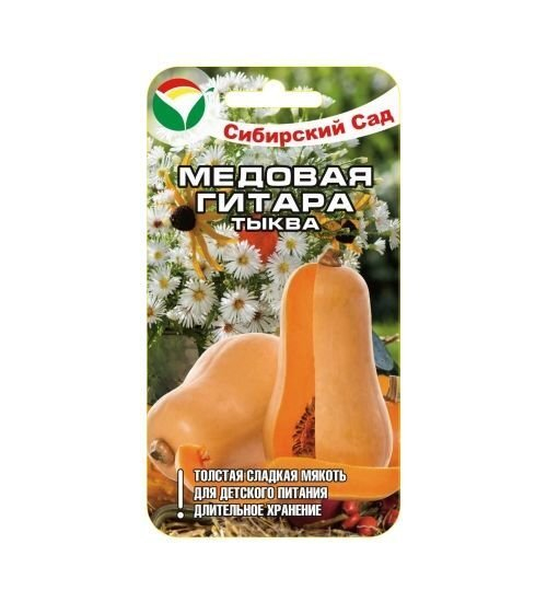 Тыква Медовая гитара