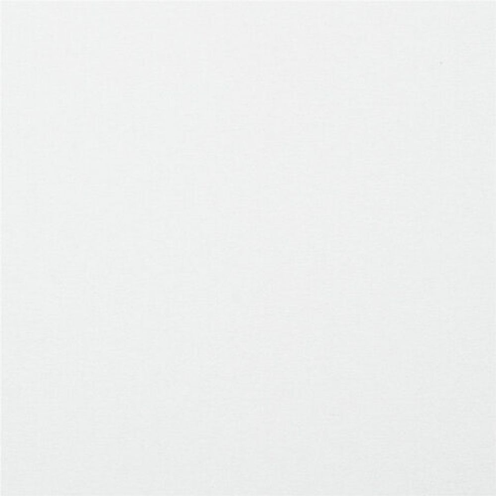 Картон белый А4 МЕЛОВАННЫЙ (белый оборот), 20 листов, в папке, BRAUBERG KIDS, 203х283 мм, 115160