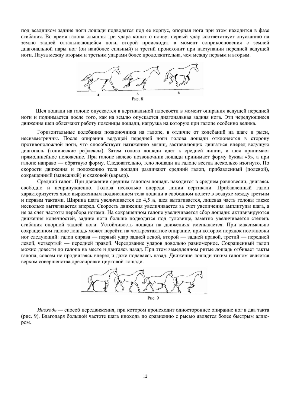 Дрессировка лошадей в цирке | М. Анисимов