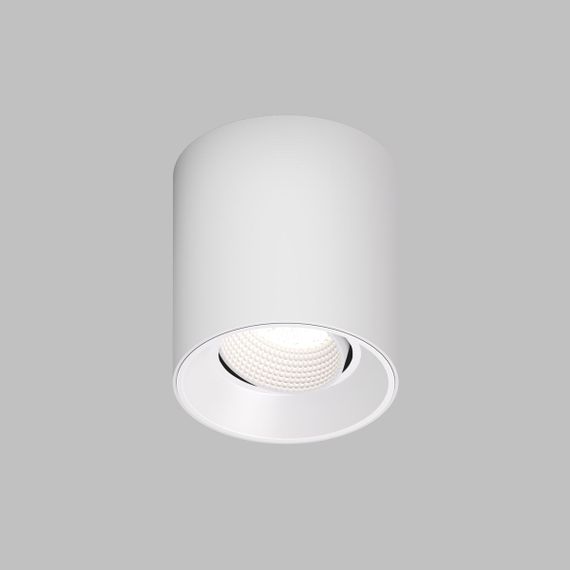 Накладной светильник Denkirs Rodvig DK3090-WH