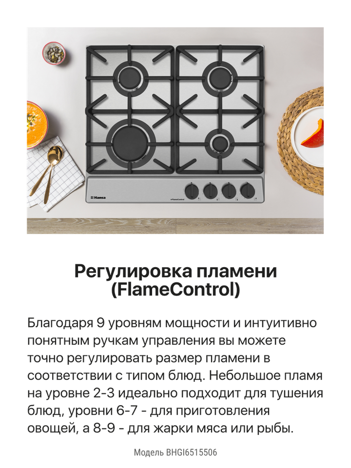 Газовая панель Hansa BHGI6515506