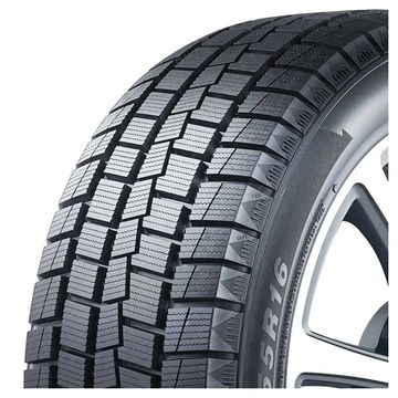Autogreen WinterCross WL6 205/55 R16 91S