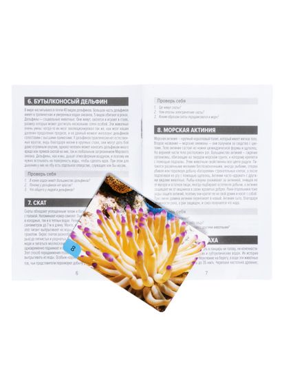 Игра настольная МЕМО "Водный мир" (32 карточки)