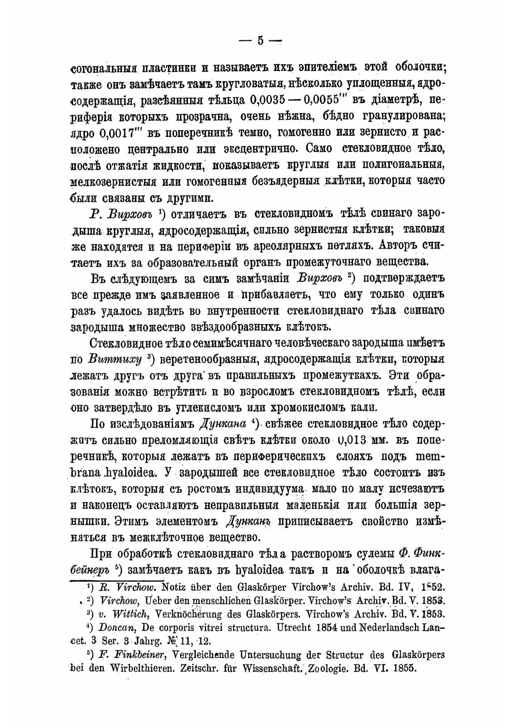 О клетках стекловидного тела | Потехин Анатолий Антипович