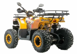 Квадроцикл Motoland 200 ALL ROAD X (баланс. вал)