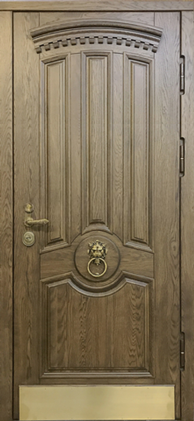 Входная дверь 50