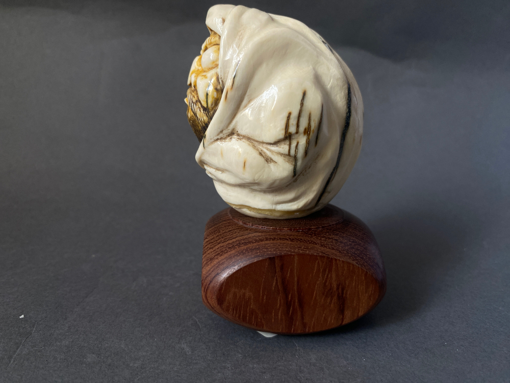 Миниатюра «Дорума»