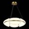 Подвесной светодиодный светильник ST Luce Etoile SL1304.203.45