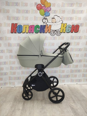Коляска модульная Rant Teo Sage