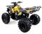 Квадроцикл MOTAX ATV Grizlik-8 125