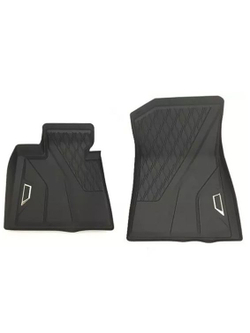 Коврики BMW X5 G05 /X6 G06 /X7 G07 /XM G09 передние (2 шт)