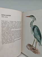 В мире птиц. Карманный атлас