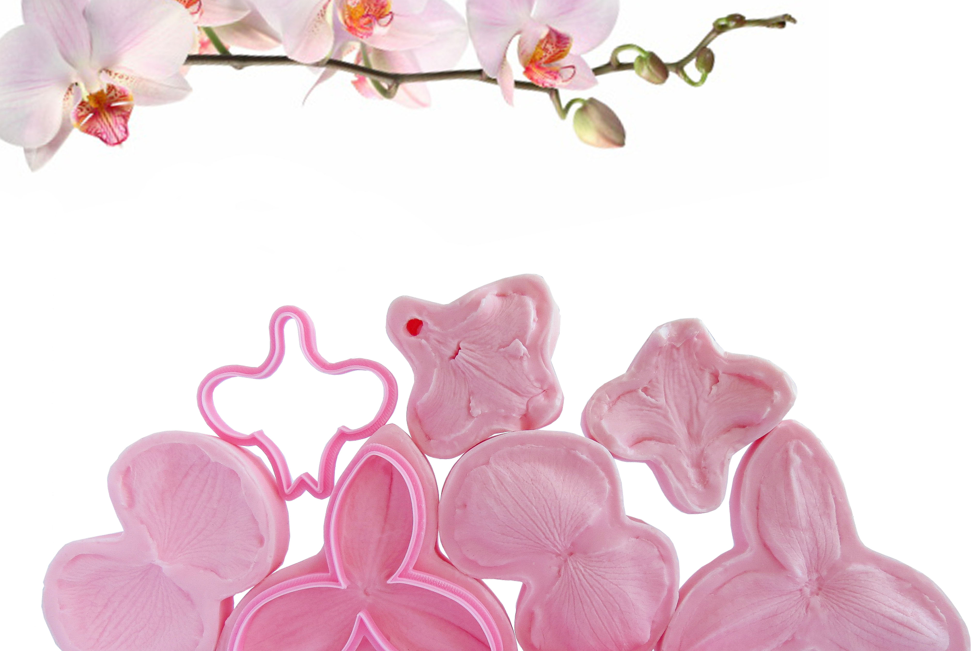 Орхидея Фаленопсис