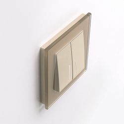 Рамка на 1 пост Werkel Favorit (шампань) W0011111