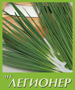 Лук на зелень Легионер (10гр) Витагрин Профи