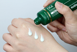 WELLDERMA Успокаивающий крем с экстрактом центеллы CICA TREATMENT REPAIR DAILY CREAM 50 ml