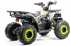Квадроцикл Motoland 125 WILD (2020 г.)