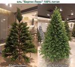 Искусственная ель «Берген» (Литая хвоя) 240 см / 2.4 м