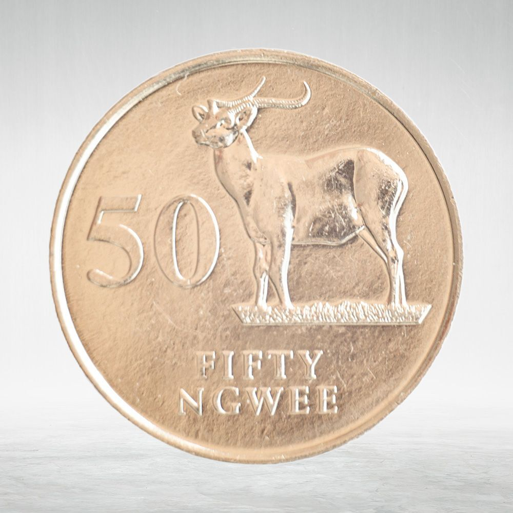 Zambia, 50 Ngwee, 1992 – Limited Edition Coin with Wildlife Theme, AU