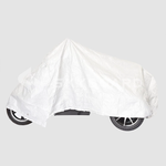 Электроскутер CityCoco SKYBOARD Trike Chopper-2000