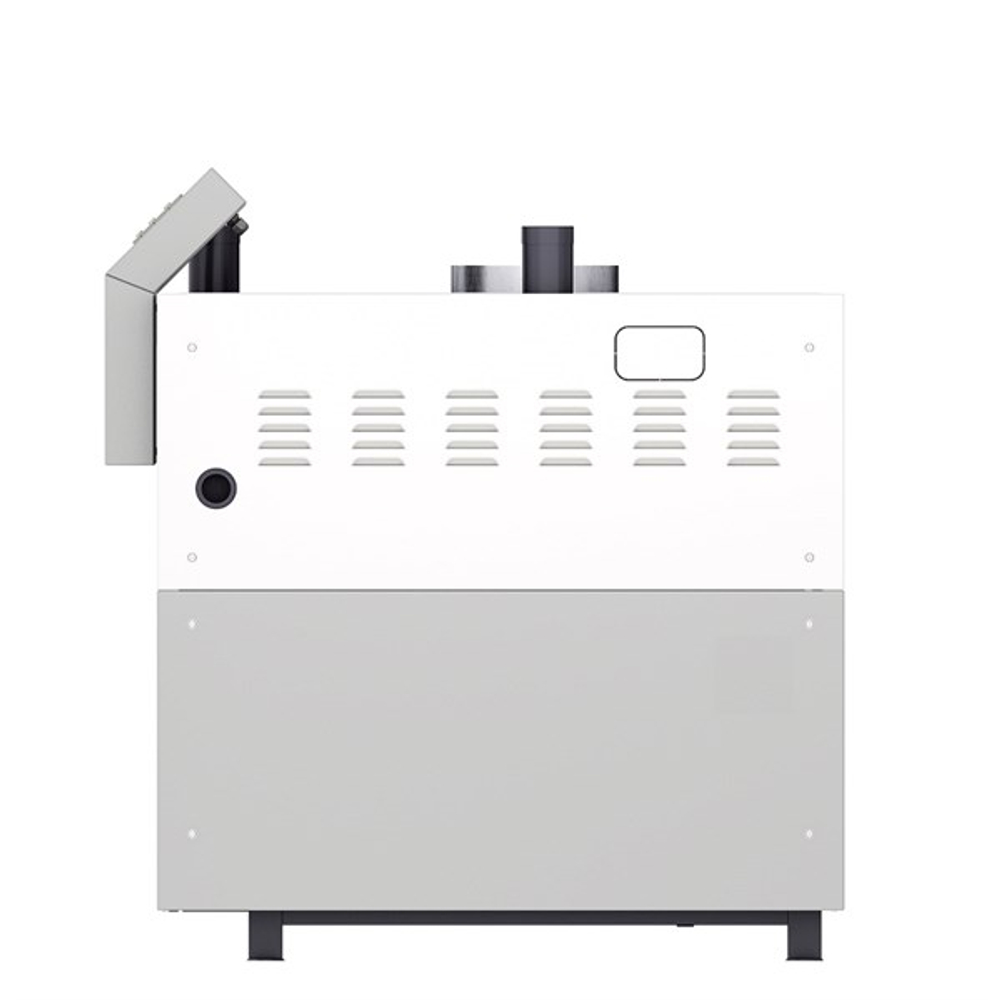 Котел отопительный газовый ЛЕМАКС CLEVER L40 (КВА-0,04Гн)