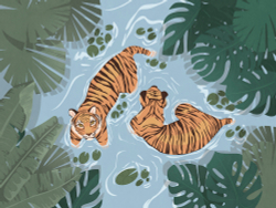 Коллекция Serenity