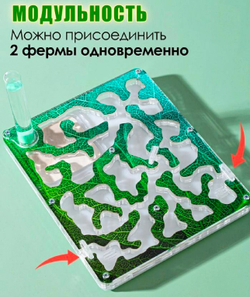 Дополнительный модуль для муравьиной фермы