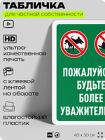 Табличка для частной территории "Пожалуйста, будьте более уважительны", на дом, для участка, организаций и частных территорий, предупреждающая, 40х30 см, Silver Plane x Айдентика Технолоджи