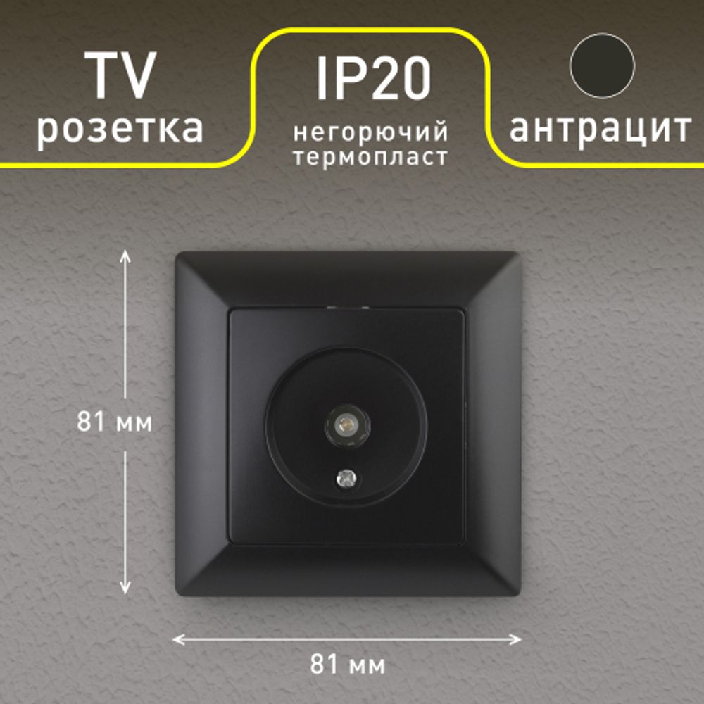 Розетка Intro Solo 4-301-05 TV одиночная, СУ, антрацит