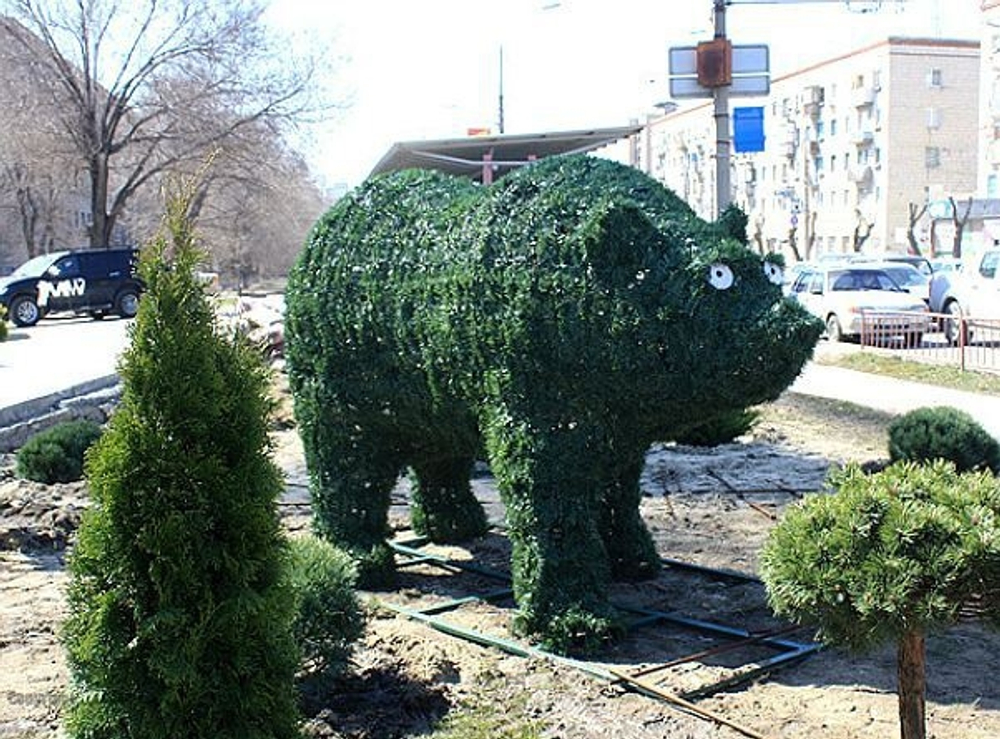 Топиарная фигура Медведь