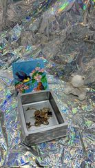 Kitab şəklində qutu 3