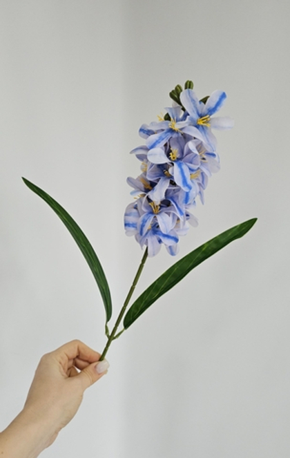 Гиацинт / Арт 2533