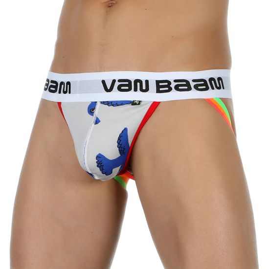 Мужские трусы джоки серый с принтом Van Baam 39335