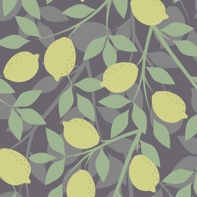 ЛИМОНЫ НА ВЕТВЯХ НА СЕРОМ ФОНЕ