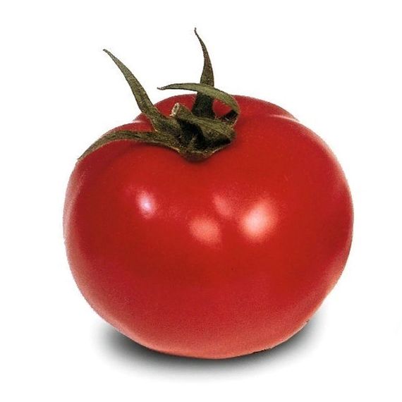 ГС 12 F1 семена томата детерминантного (Syngenta) цена