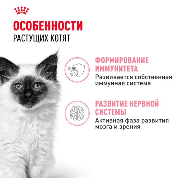 Пауч Royal Canin Kitten Gravy для котят в период второй фазы роста в возрасте до 12 месяцев, кусочки в соусе