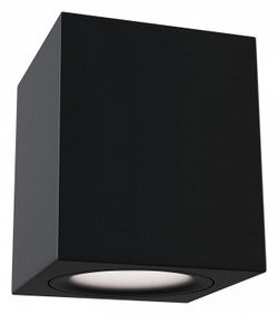 Накладной светильник Maytoni Technical C013CL-01B
