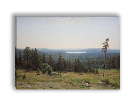"Лесные дали", Шишкин Иван Иванович, картина (репродукция)