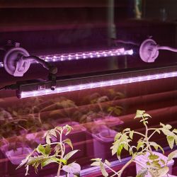 UFP-M01R-150 WHITE POLYBAG SET2 Подставка для светильника ULI-P. на присоске. длина трубки 150мм. Набор из 2шт. Белая. TM ФитоЛето