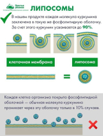 Липосомальный куркумин силимарин, веган, 60 капсул