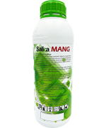 Salica mang