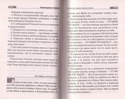 Двенадцать заповедей спасения. Схиигумен Савва