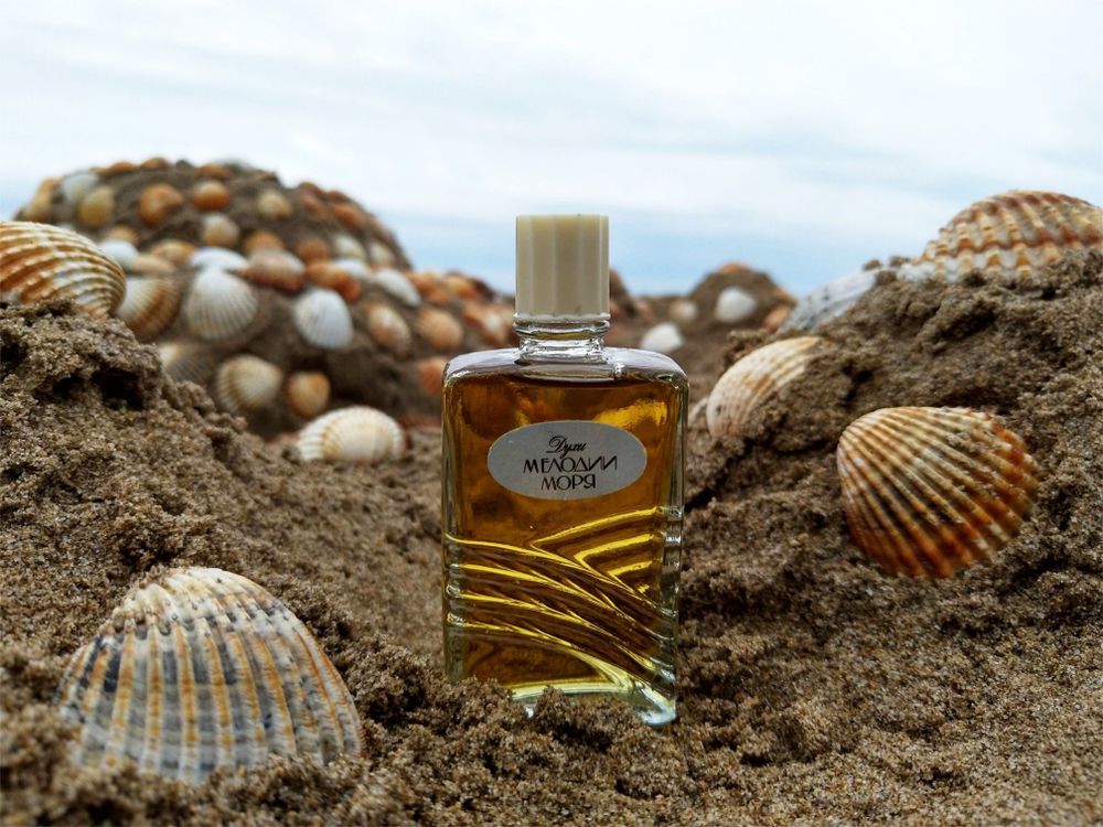 Crimean rose – Крымская роза Melodies of the sea – Мелодии моря