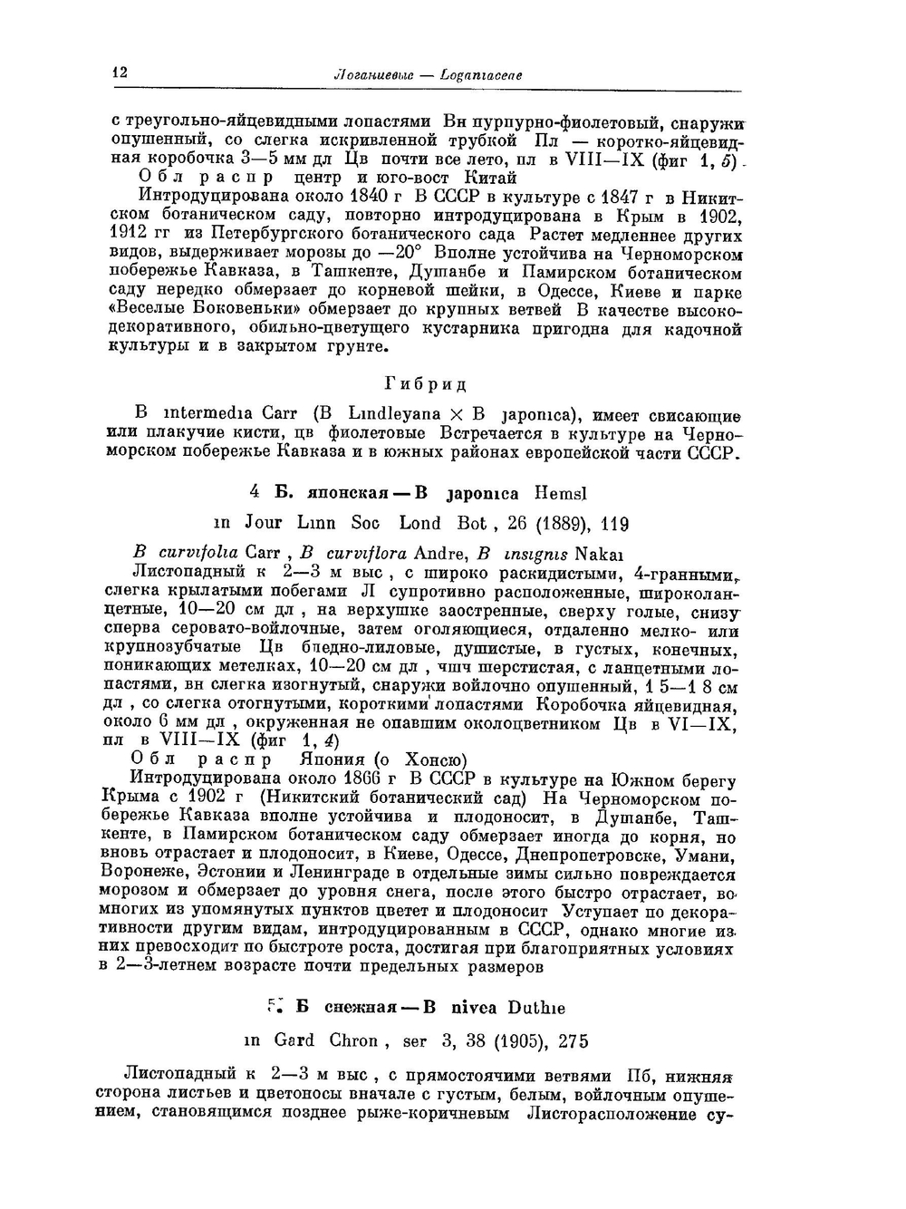 Деревья и кустарники СССР. Покрытосеменные семейства Логанивые-сложноцветные Том 6 | С.Я. Соколов