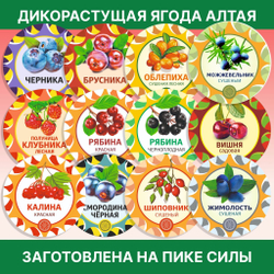 Лист толокнянки.