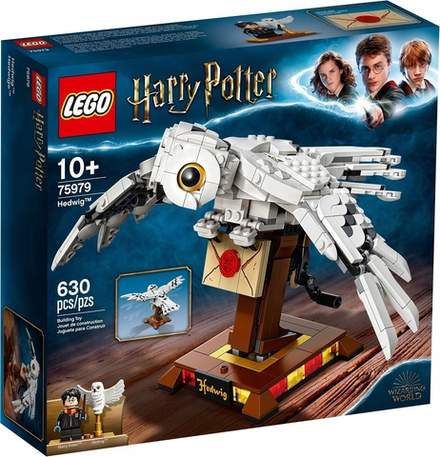 Конструктор LEGO Harry Potter Букля 75979