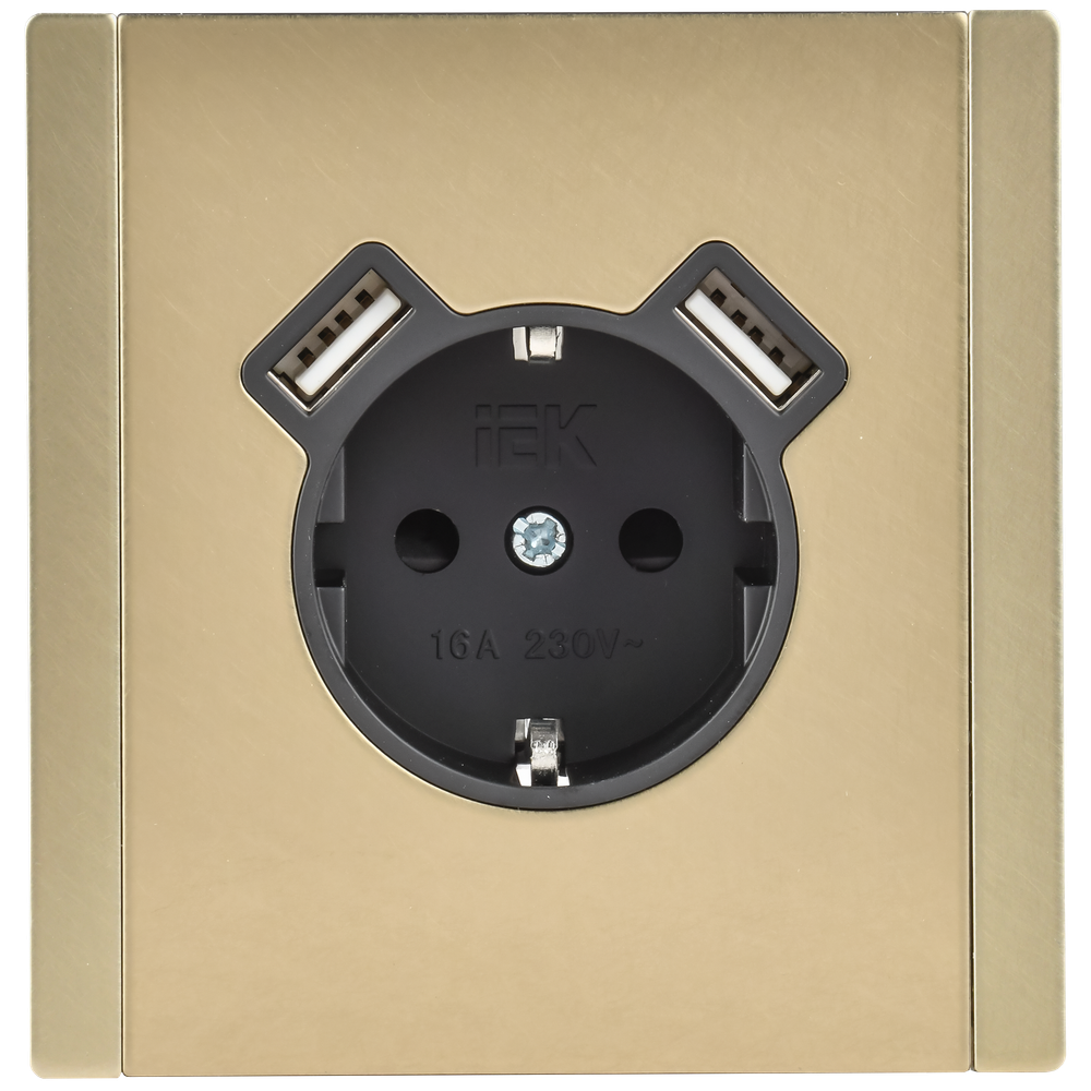 FORTE&PIANO Розетка 1-местная с заземлением с защитными шторками винтовое крепление 16А USB A+A 3,1А FP645M металл шампань IEK