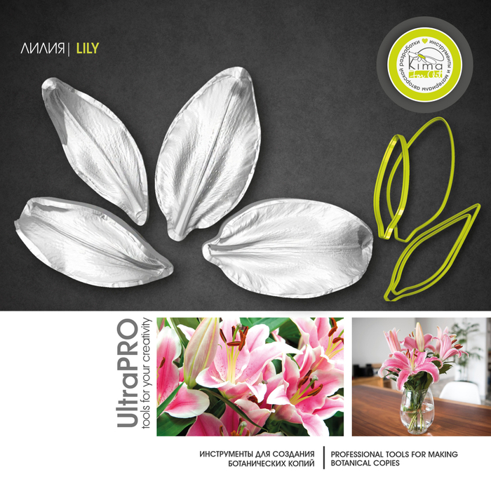 Лилия большая | лепестки